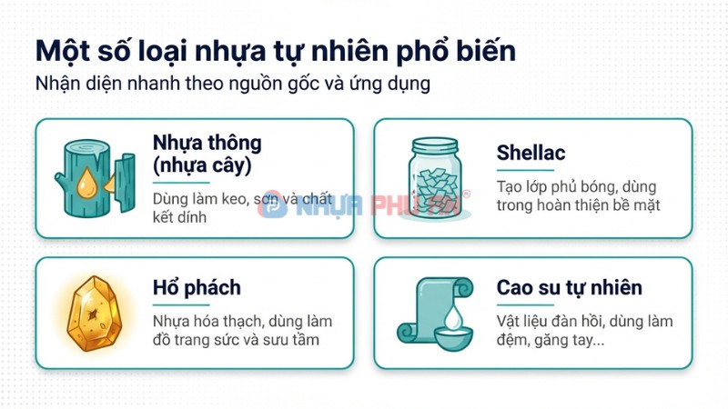 các loại nhựa tự nhiên phổ biến như nhựa thông shellac hổ phách cao su