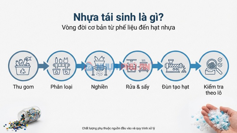 Infographic vòng đời nhựa tái sinh từ thu gom đến hạt nhựa
