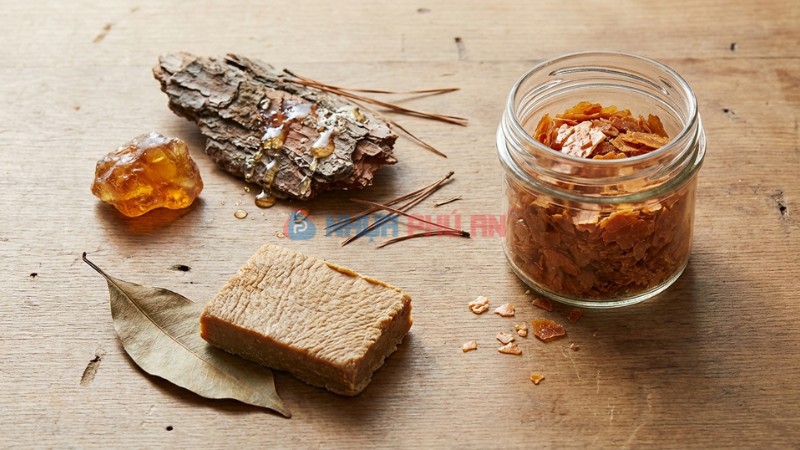 Tổng quan các nguồn nhựa tự nhiên như nhựa cây, shellac và cao su
