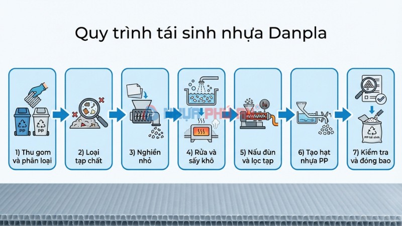 Sơ đồ quy trình tái sinh Danpla