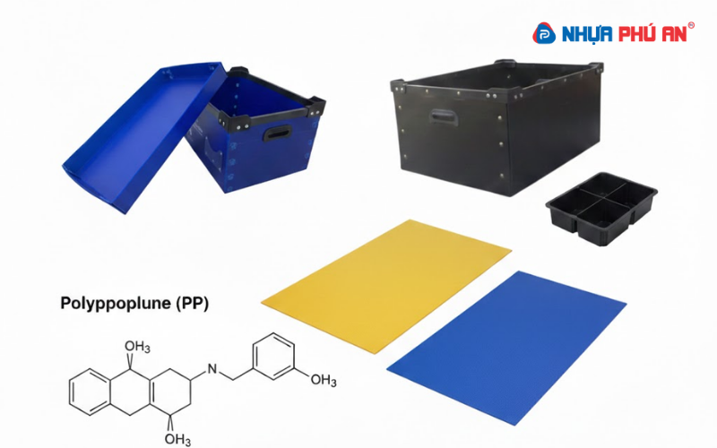 so-sanh-danpla-va-tam-hips-2