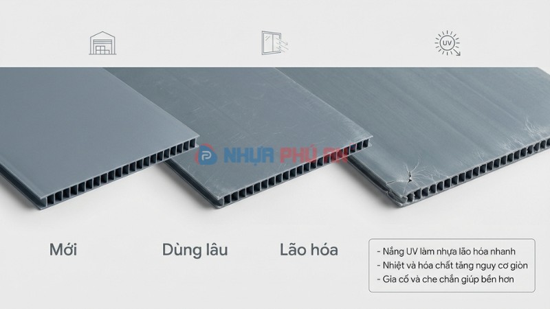 Minh họa Danpla PP lão hóa theo thời gian