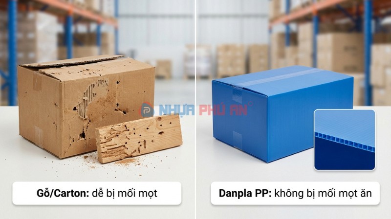 Ảnh minh họa thùng danpla không bị mối mọt