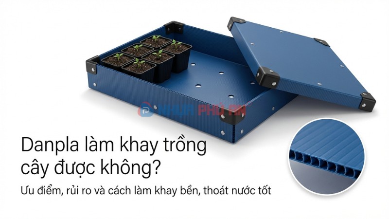 Danpla có thể dùng làm khay trồng cây không? Dùng tốt nhất trong trường hợp nào?