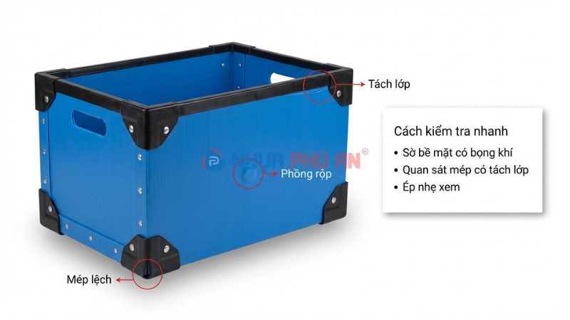 Minh họa dấu hiệu lỗi Danpla phồng rộp tách lớp và cách kiểm tra nhanh trước khi dùng