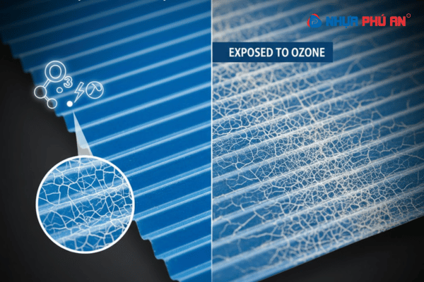 Tấm Danpla có bị ảnh hưởng bởi ozone không?