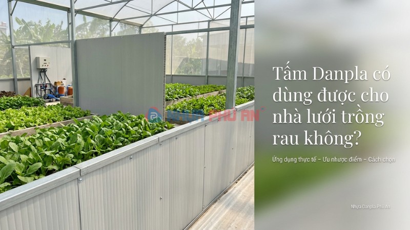 Ảnh cover tấm nhựa Danpla dùng trong nhà lưới trồng rau tại Việt Nam