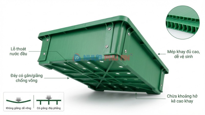 Thiết kế khay trồng cây bằng Danpla thoát nước tốt và không bị võng