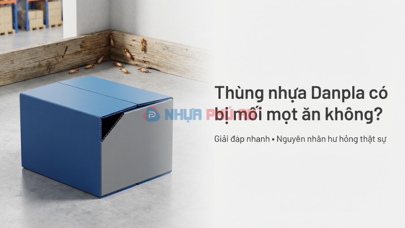Thùng nhựa Danpla có bị mối mọt ăn không? Giải đáp và cách dùng bền trong kho