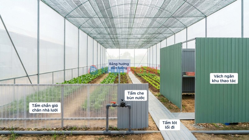 Ưu nhược điểm dùng Danpla trong nhà lưới trồng rau