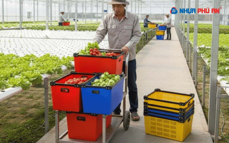 tam-nhua-danpla-ung-dung-trong-trang-trai-rau-sach--3